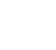 flexa 700ml 24vol