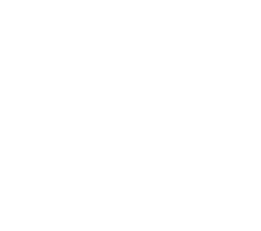 shaker